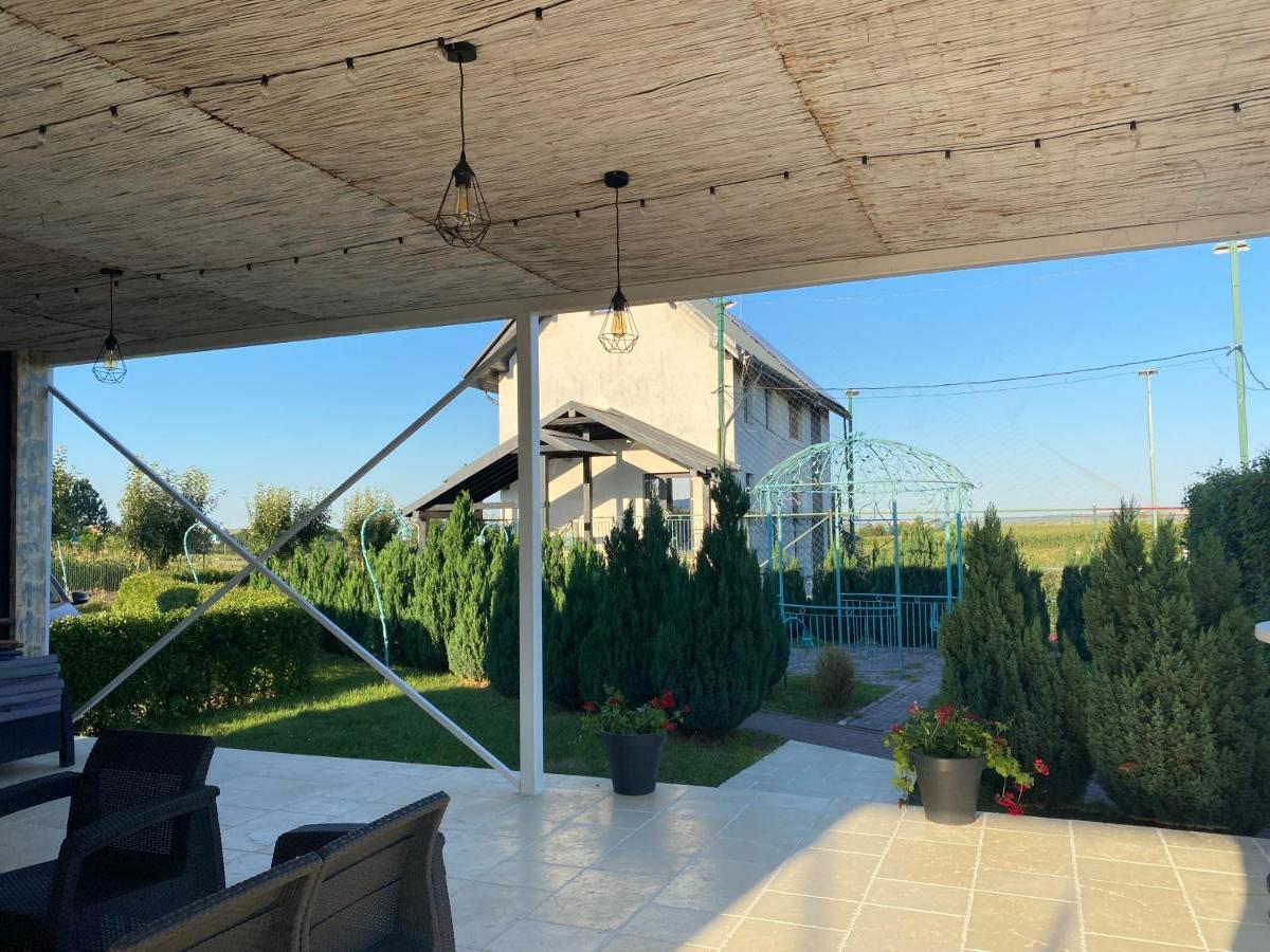 Green Oasis Apartment Stolniceni-Prajescu ภายนอก รูปภาพ