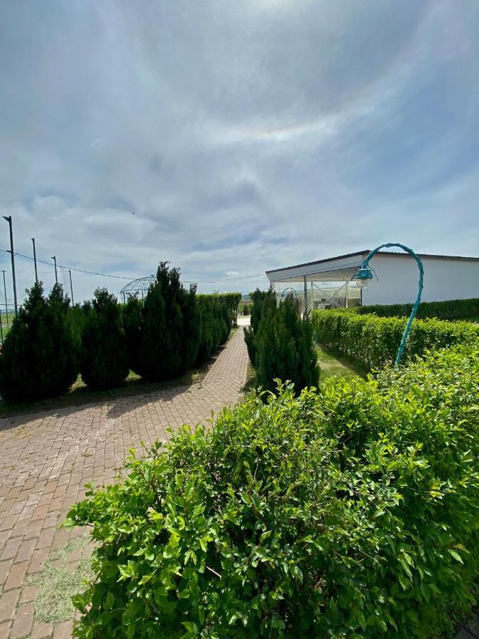 Green Oasis Apartment Stolniceni-Prajescu ภายนอก รูปภาพ